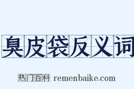 臭皮袋反义词是什么意思的图片